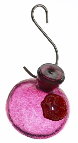 Price Comparisons Kitras One Sip Hummingbird Feeder Pink
