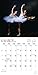 Ballet Foil 2017 Calendar (English, French and Spanish Edition)