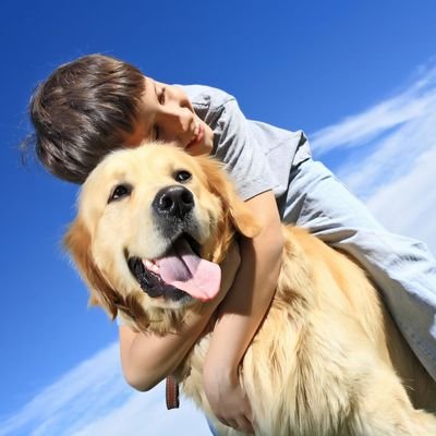 Produkt-Bild: Tier-Fotoshooting