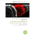 Experience de Milgram