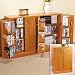 DOUBLE LOCKING VIDEO CABINET OAK