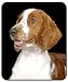 Welsh Springer Spaniel Mousepad