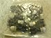 Norgren C24880228 Lot-10 Union Y-Connectors