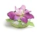 Bloembox Tiny Tins Classic: Purple Stock in Gift Tin