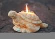 Turtle Tealight Candle Holder