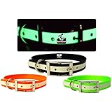 New Glow In the Dark Dog Collar, Strong TPU Safety Collar, Suitable for Dogs or Cats, Color Black, Size Small, By Downtown Pet Supply