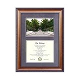 University of South Florida Suede Mat Diploma Frame with Lithograph