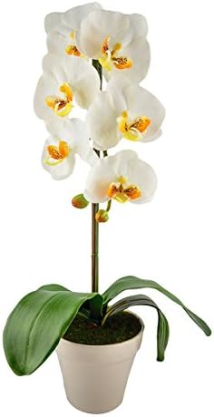 Red Vanilla Silk/Ceramic 22-inch x 5.5-inch Artificial Phalaenopsis With Flower Vase