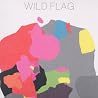 Image of album by Wild Flag