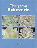 The genus echeveria