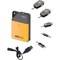 AA Battery iPhone and USB Phone Charger