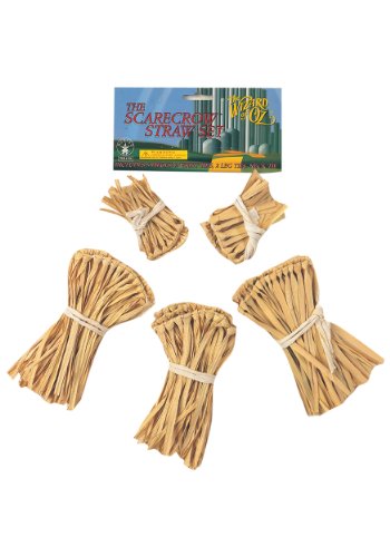 Five-Piece Scarecrow Straw Kit