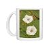 Photo Mugs of CAN-2902 Jimson Weed Flowers - also called sacred datura from Ardea Wildlife Pets
