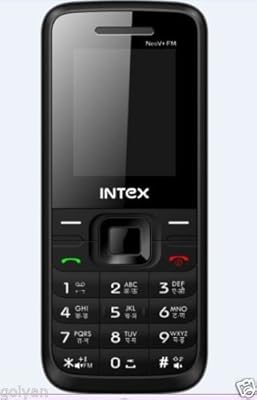 Intex