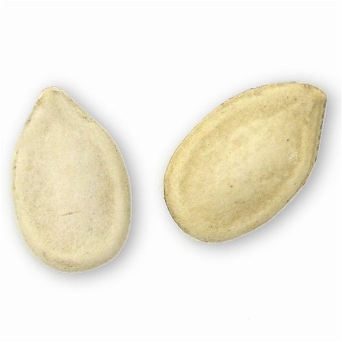 Watermelon Seeds, Roasted, Salted by Oh! Nuts