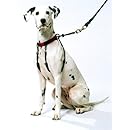 YUP! Pet Halter, X-Large, Red