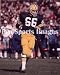 Ray Nitschke Green Bay Packers Glossy 8x10 Photo