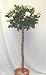 Artificial Rose Lady Ball Tree (pale Pink) - 120cm - Real Wood Stem