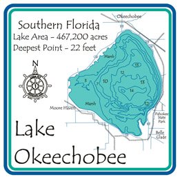 Lake Okeechobee Floor Mat - Lake Gift - Lake House Decor - Palm Beach FL