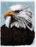 Caron Wonderart Latch Hook Kit 20 Inch X27 Inch - Bald Eagle