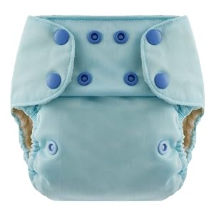 Swaddlebee EcoNappi One-Size Cloth Diaper