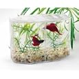 Betta Hex Dual Mini Tank Kit