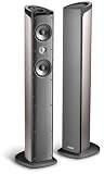 Polk Audio RM40T Floorstanding Speaker (Single, Pewter)