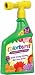QT AP FLOWERING PLANT FOOD RTS