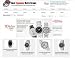 Most Expensive Watch Brands