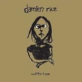Damien Rice -  Rootless Tree