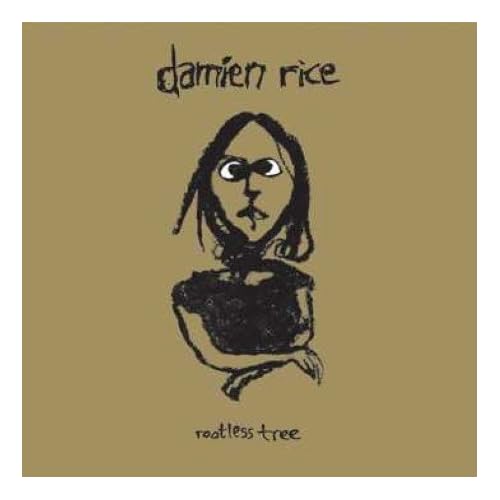 Damien Rice Biography, lyrics, albums, videos, discography
