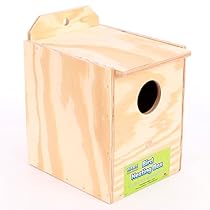 Ware Manufacturing Wood Parakeet Regular Nest Box, Keet
