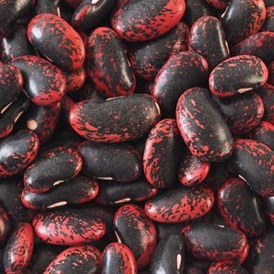 Scarlet Runner Beans Dry 1 Resealable Scarlet Runner Beans Dry 1 Resealable