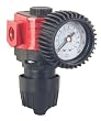 In-Line Regulator with Gauge - 3/8 Inch