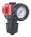 In-Line Regulator with Gauge - 3/8 Inch