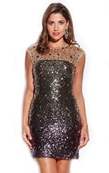 Beaded Crystals Lace Crystal Applique Chiffon/Taffeta/Tulle  Dress