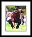 Tiger Woods PGA Golf Framed 8x10 Photograph Tiger Eyes Putting