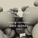 This is Audio Therapy, Vol.2