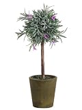 41kdgAQr41L. SL160  Artificial Topiary Ball