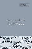 Crime and Risk (Compact Criminology)