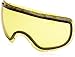 Dragon Alliance Rogue Ski Goggles
