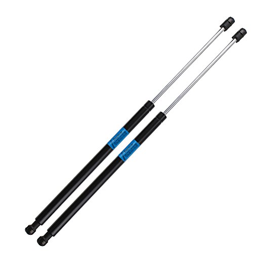 Dayincar Santa Fe Rear Hatch Lift Supports Liftgate Gas Struts Springs (Set of 2) for Santafe 01-06