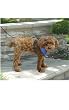Harness - Blue / Small