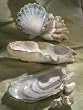 Beachcomber Large Oyster Plate