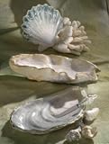 Beachcomber Giant Clam Bowl