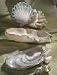 Beachcomber Giant Clam Bowl