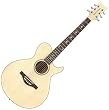 Daisy Rock WildWood Acoustic Short Scale Guitar, Bleach Blonde