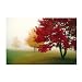 (16x20) Escape Trees (Red and Yellow Leaves) Art Poster Print