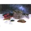 Biosta Sprouting Kit - The Miracle Garden in Your Kitchen