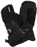 Gordini Men's DA Gore Goose III Mitt